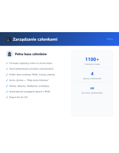 SOKS - Wtyczka WordPress - widok z przodu 2