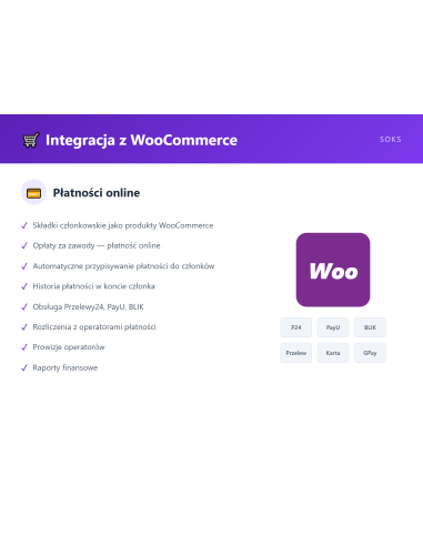 SOKS - Wtyczka WordPress - zdjęcie 6 z 8