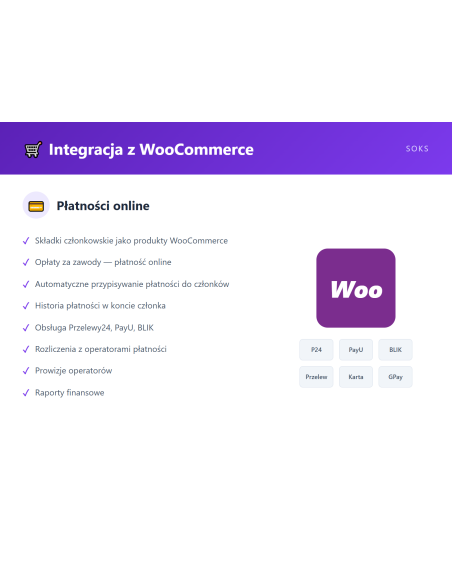 SOKS - Wtyczka WordPress - zdjęcie 6 z 8